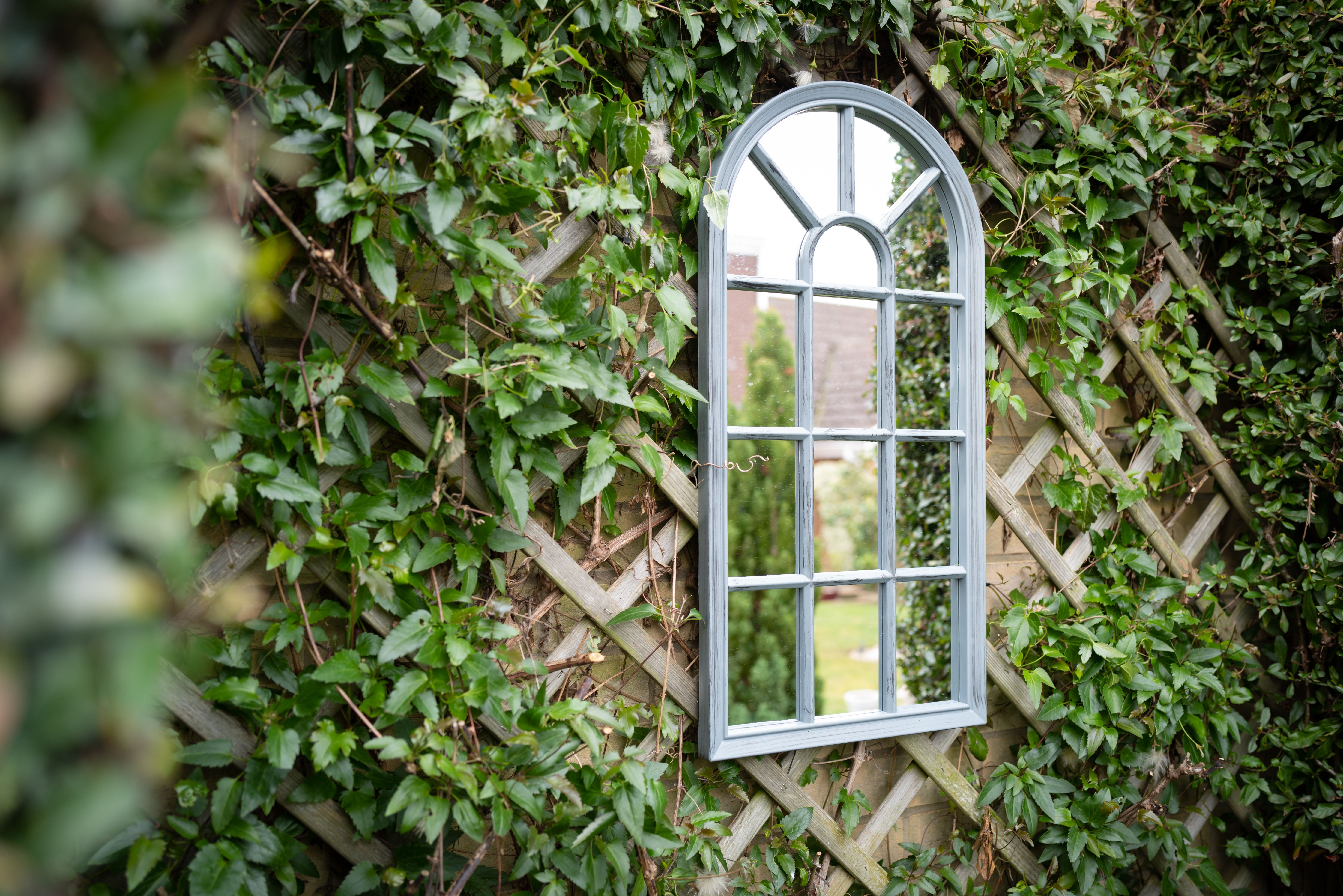 Shallow focus of a secret garden showing an ornate mirror seen attached to a trellis with vines growing around the frame.
