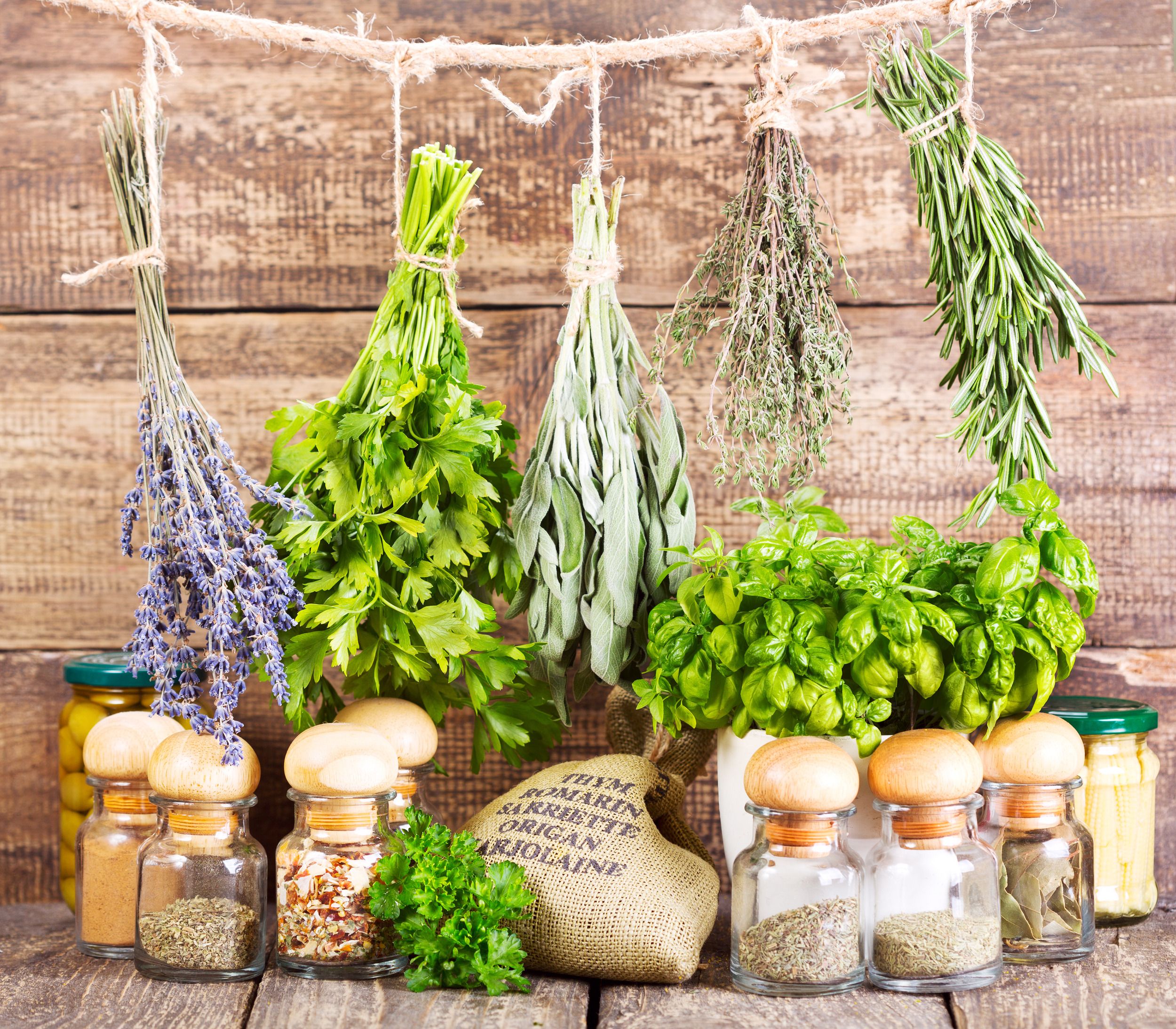 Fresh herbs hanging to dry over their dried compoents