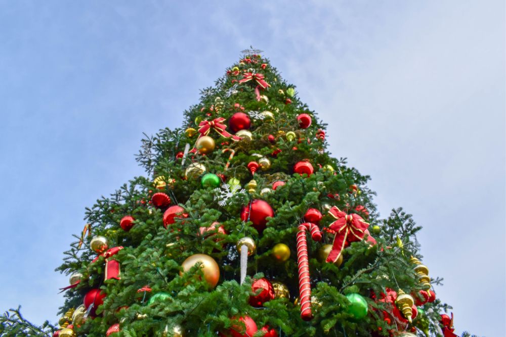 top of tall christmas tree 