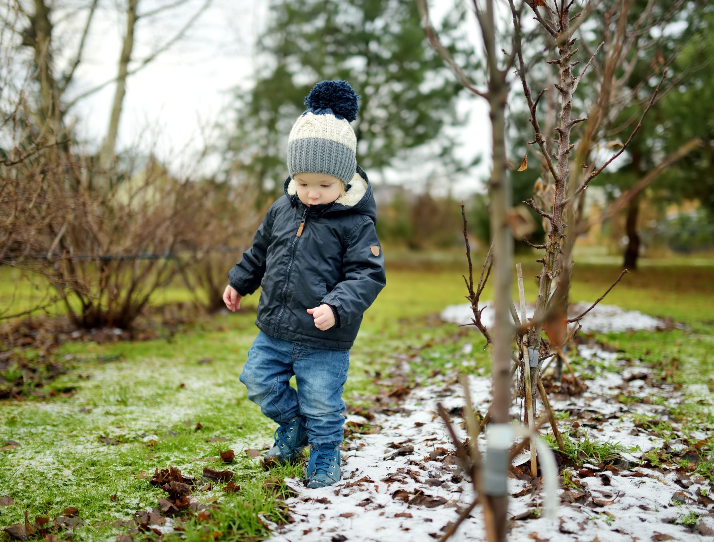 Why Your Grass Turns Brown in Winter