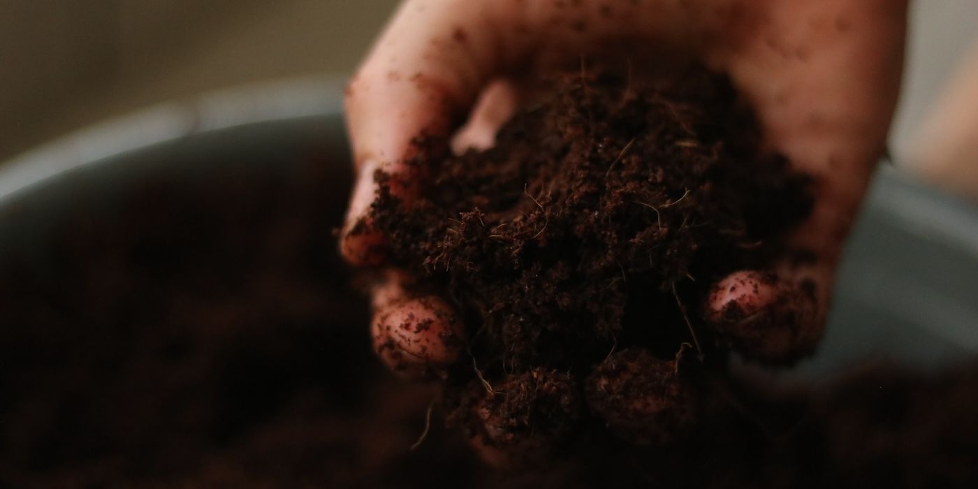 A handful of compost