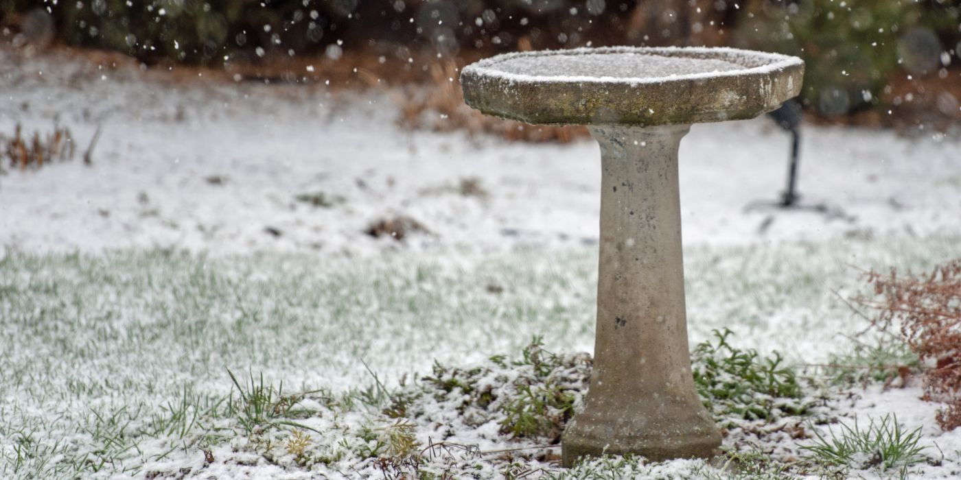 How a Tennis Ball Can Help Prevent Your Bird Bath From Freezing