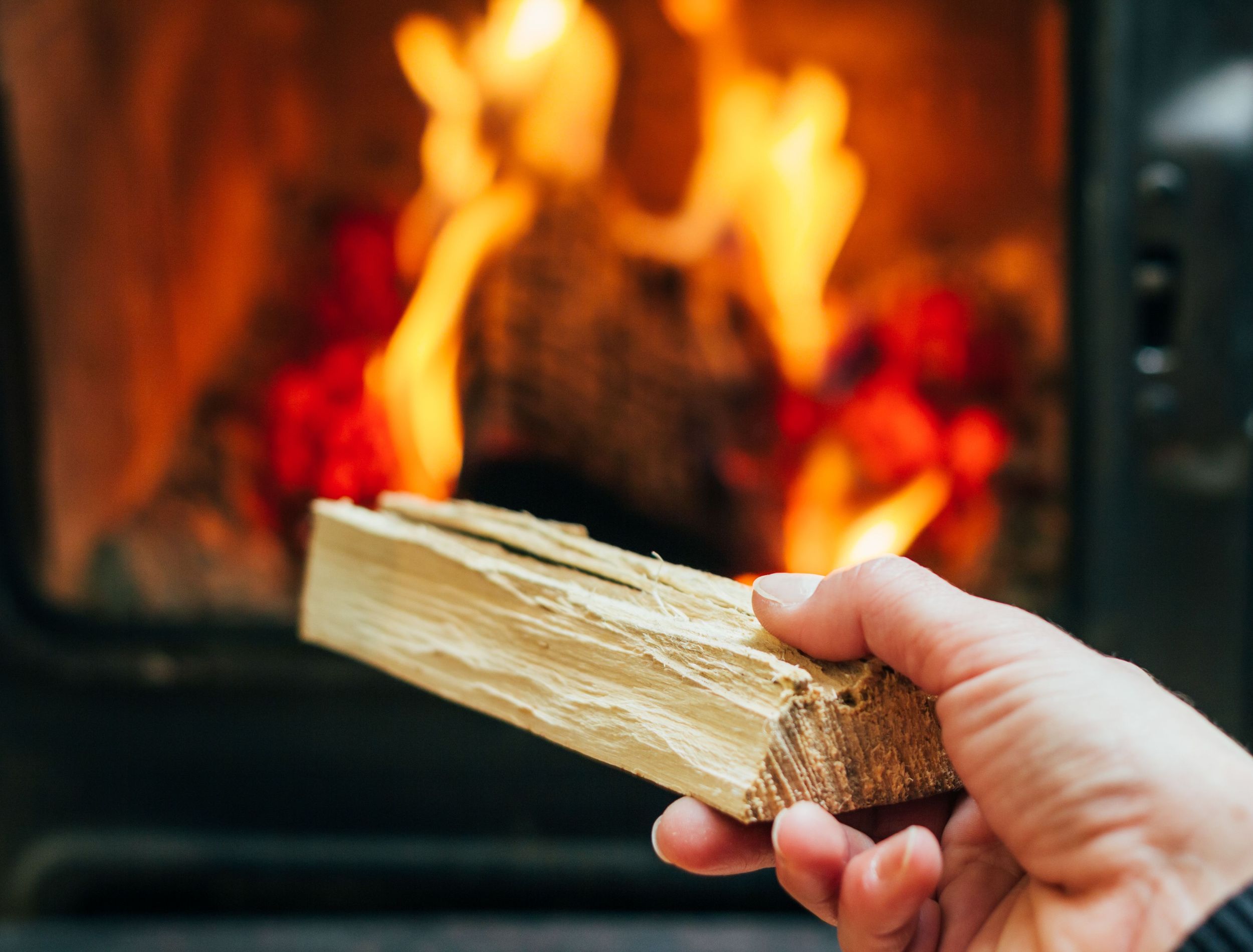 Avoid Burning These Types of Wood in Your Fireplace