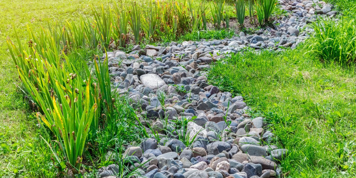 DIY Dry Creek Bed The Feature Your Yard Needs