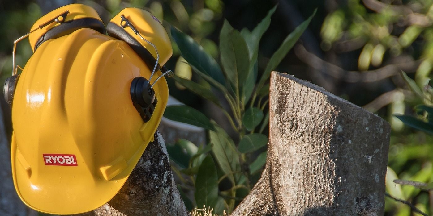 Pruning Your Lemon Tree 101