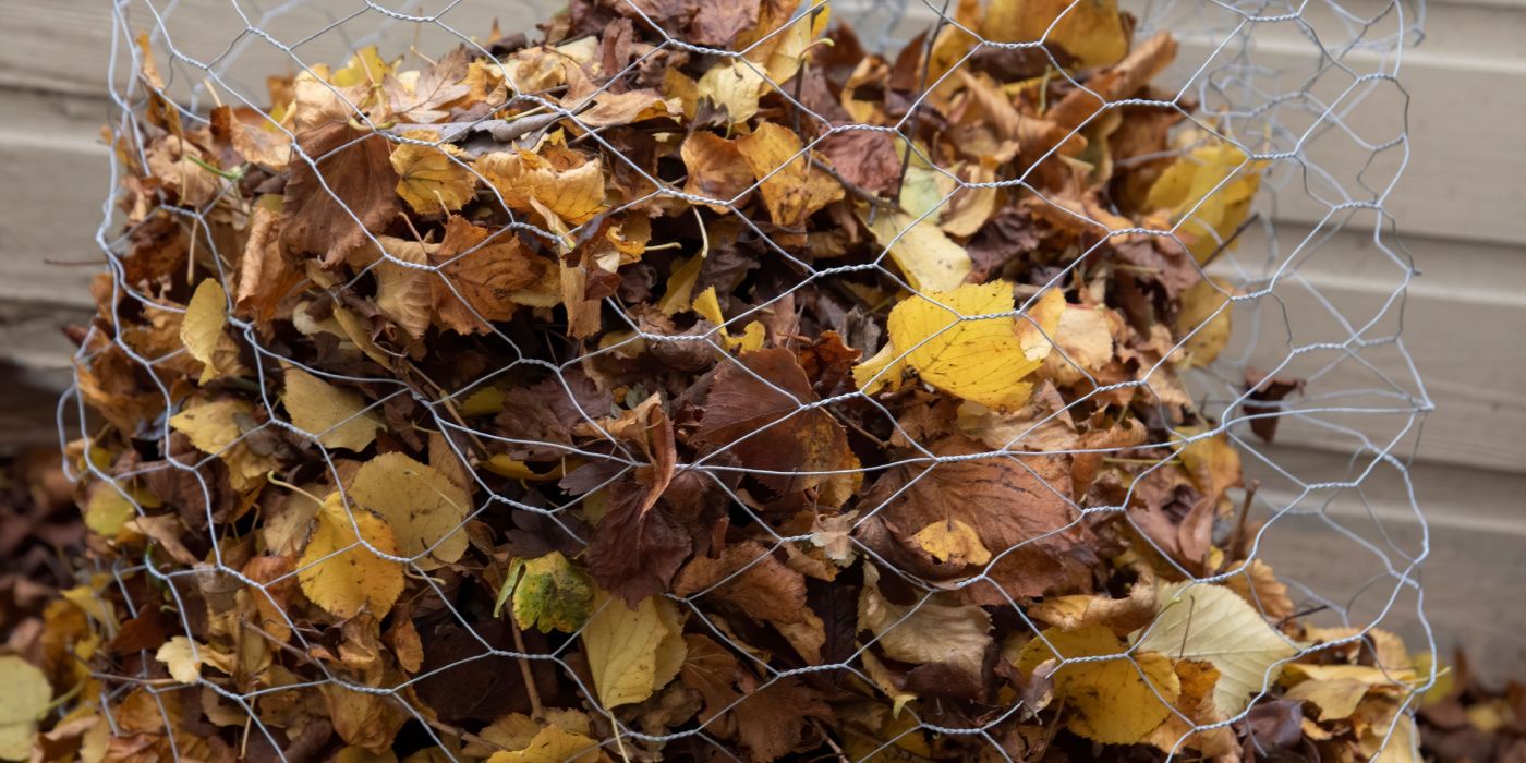 Make Your Own Leaf Mold