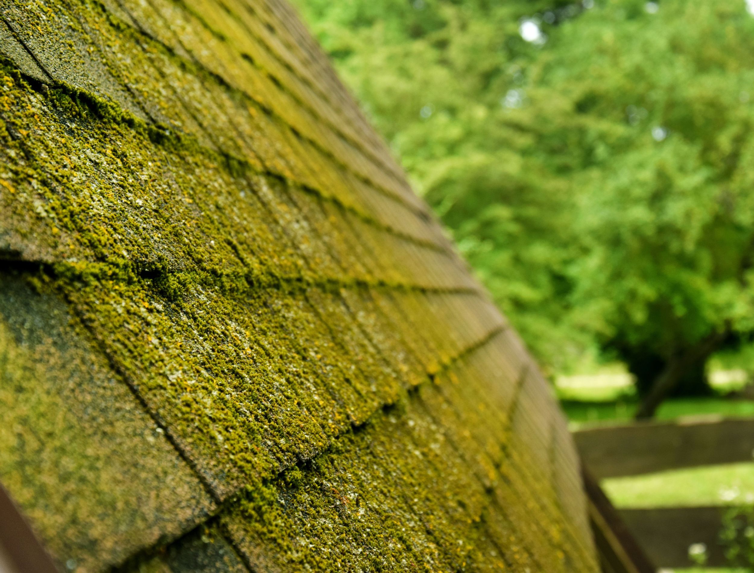 how-to-remove-moss-from-a-roof-5-ways