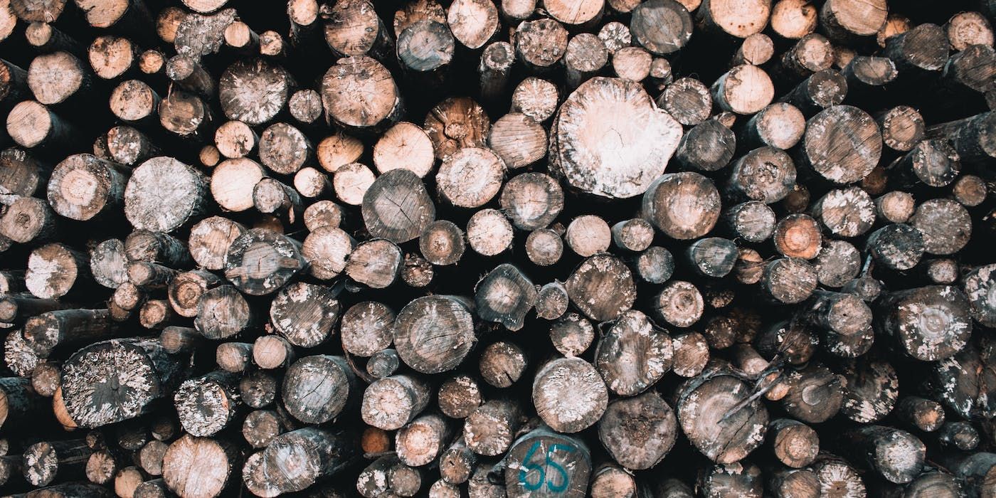 Avoid Burning These Types of Wood in Your Fireplace