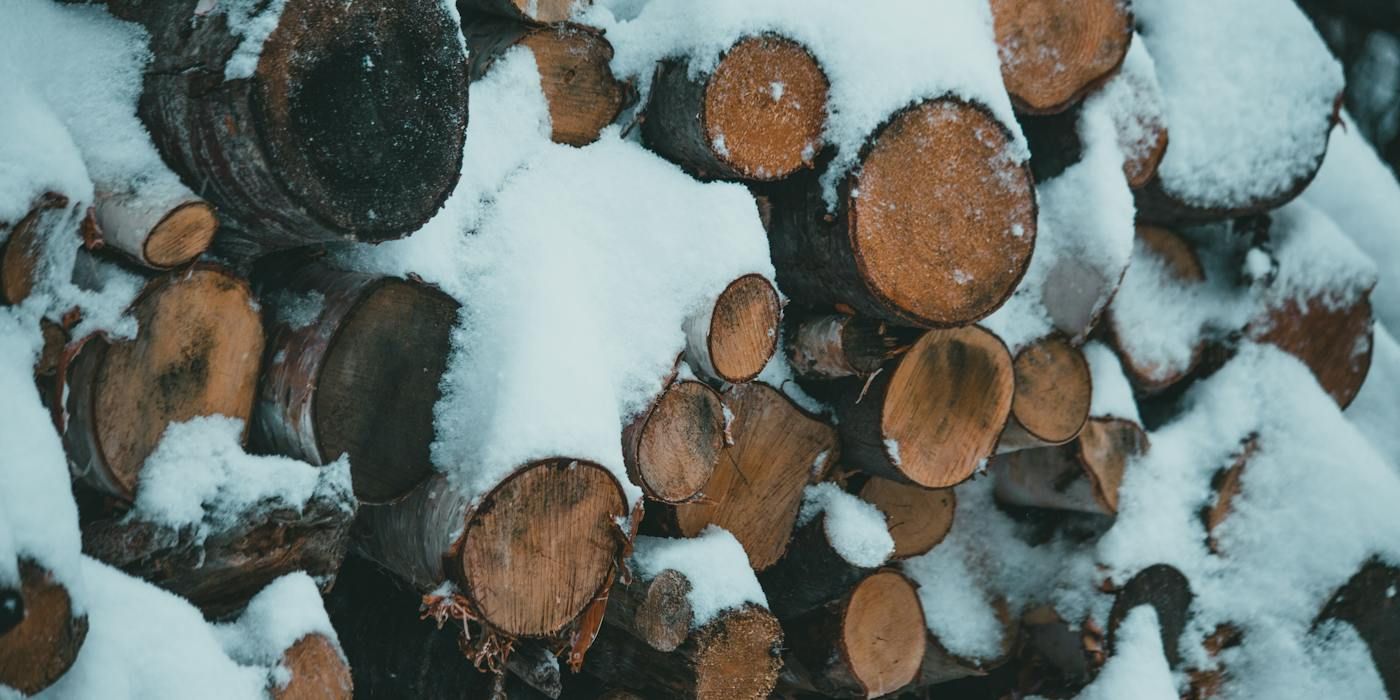 Avoid Burning These Types of Wood in Your Fireplace