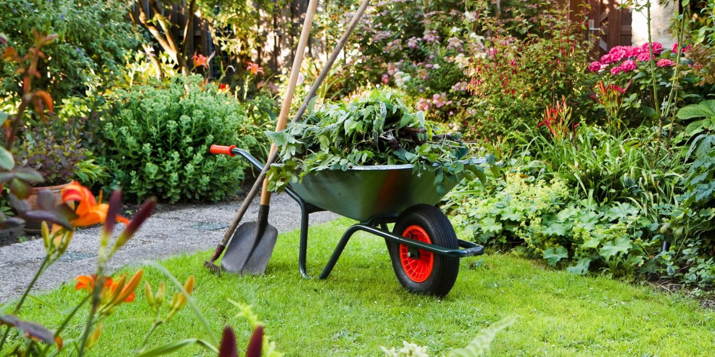 Plastic wheelbarrow filled with plants in garden