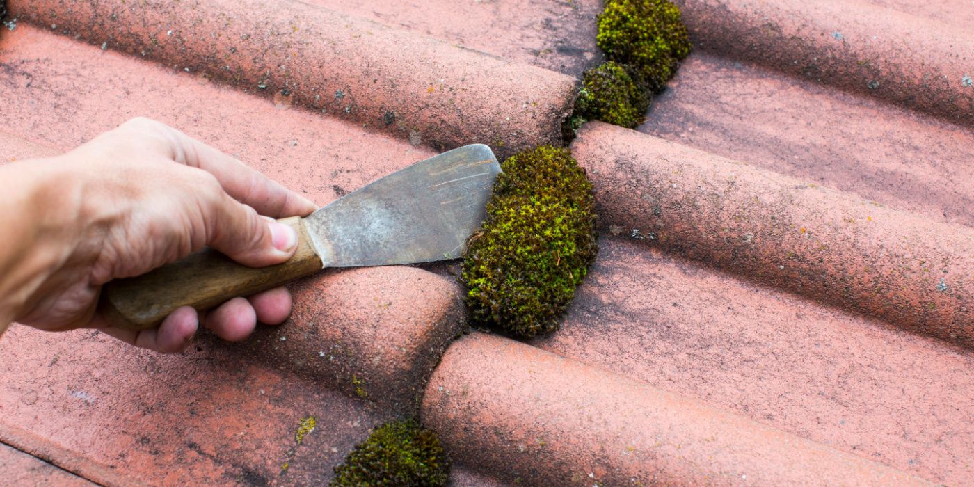 How To Remove Moss From A Roof   Removing Moss From Roof Manually 