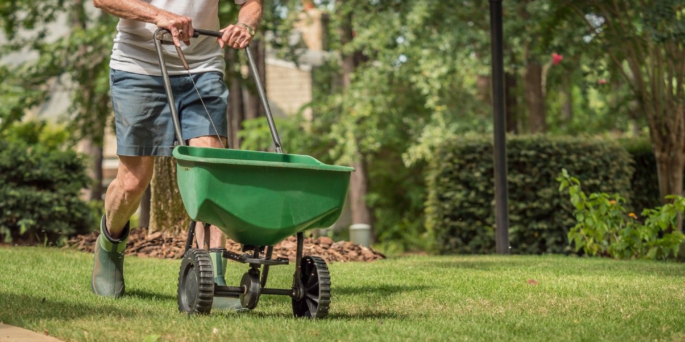 Grow Grass Seed in Winter With This Guide