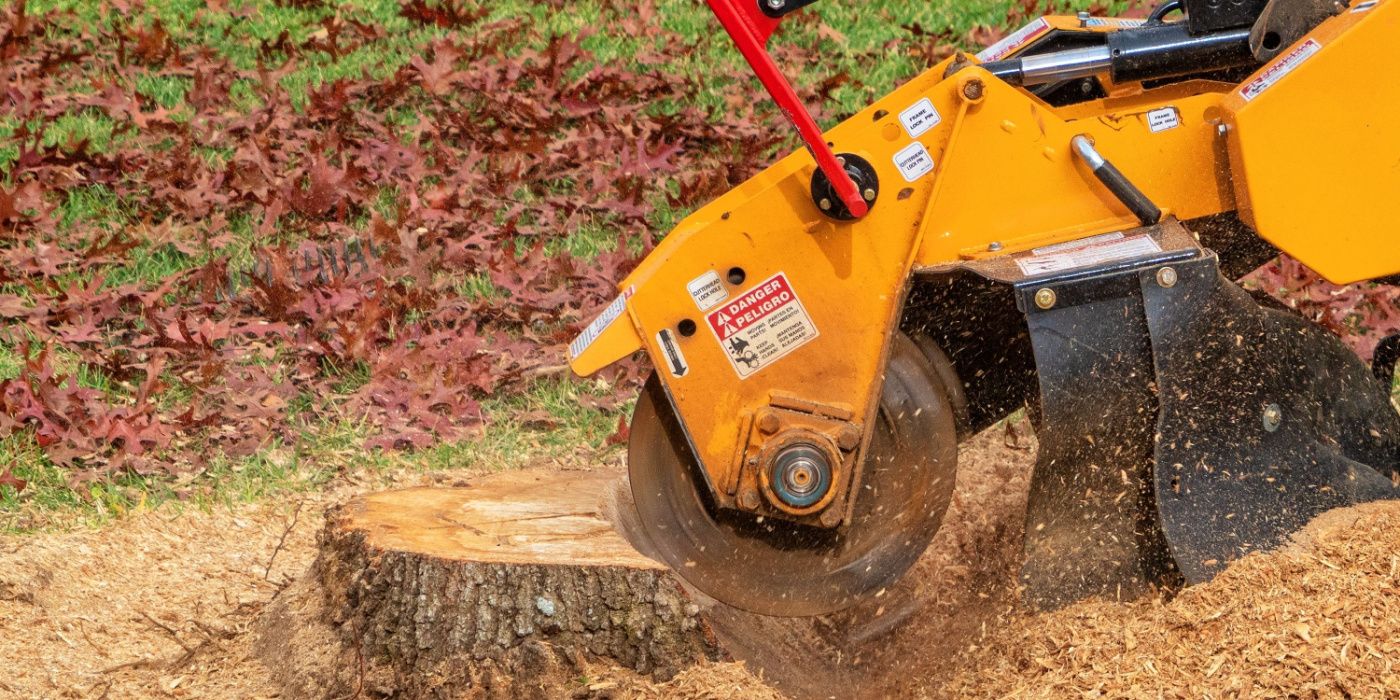 4 Factors that Determine Stump Grinding Cost