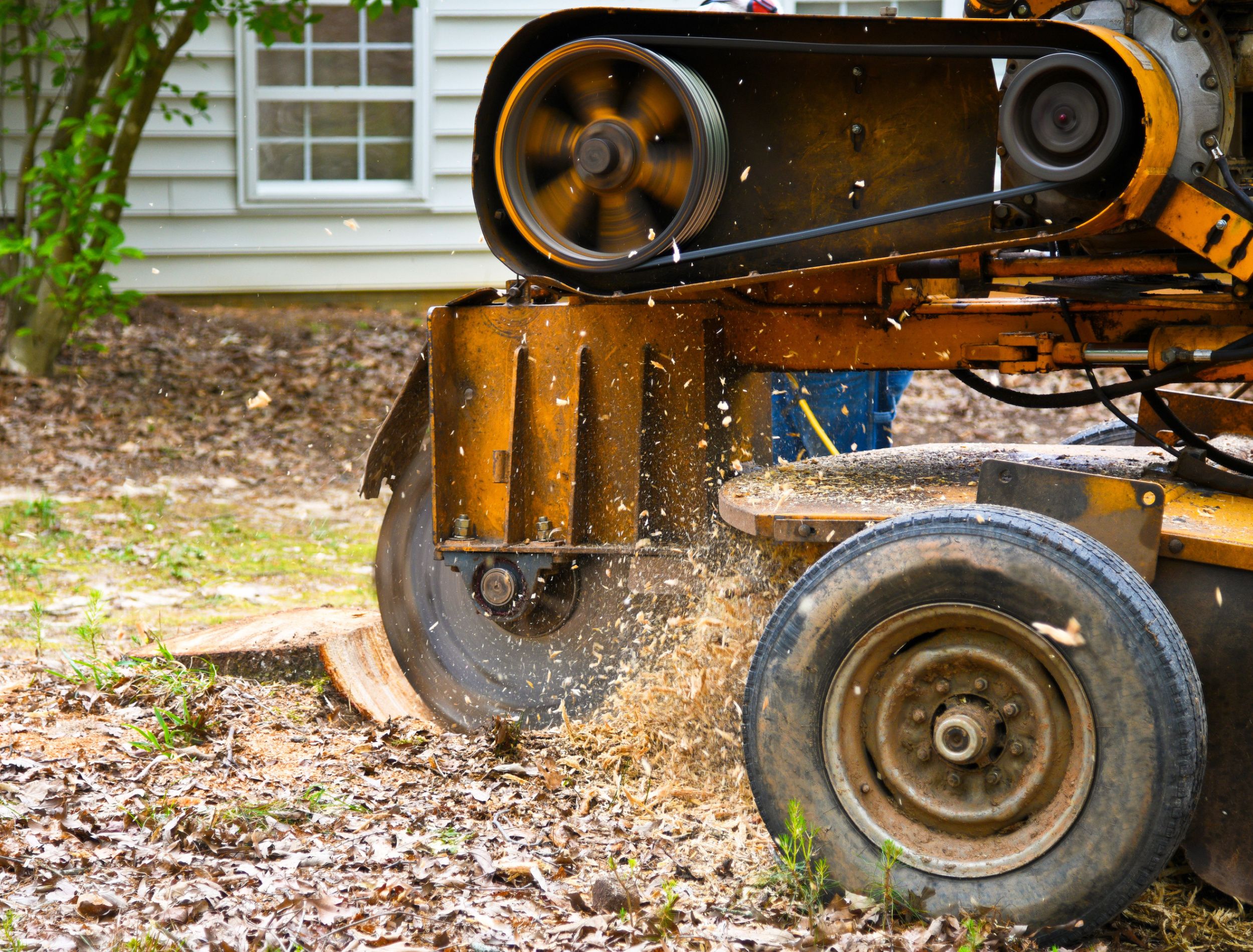 4 Factors that Determine Stump Grinding Cost