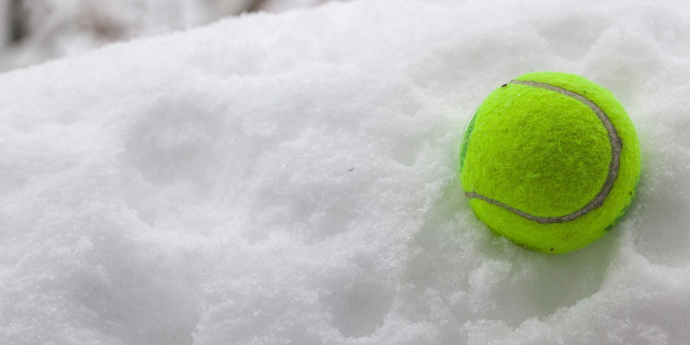 How a Tennis Ball Can Help Prevent Your Bird Bath From Freezing