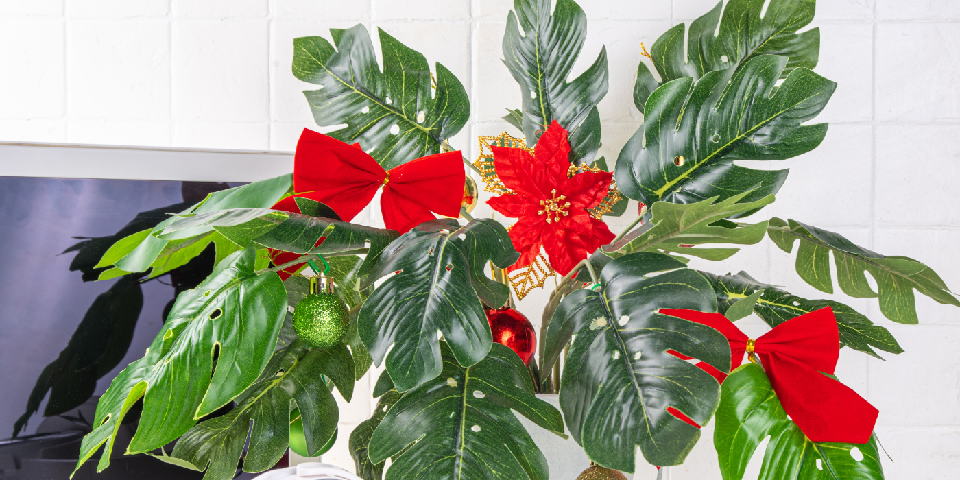 Houseplant with bows and baubles