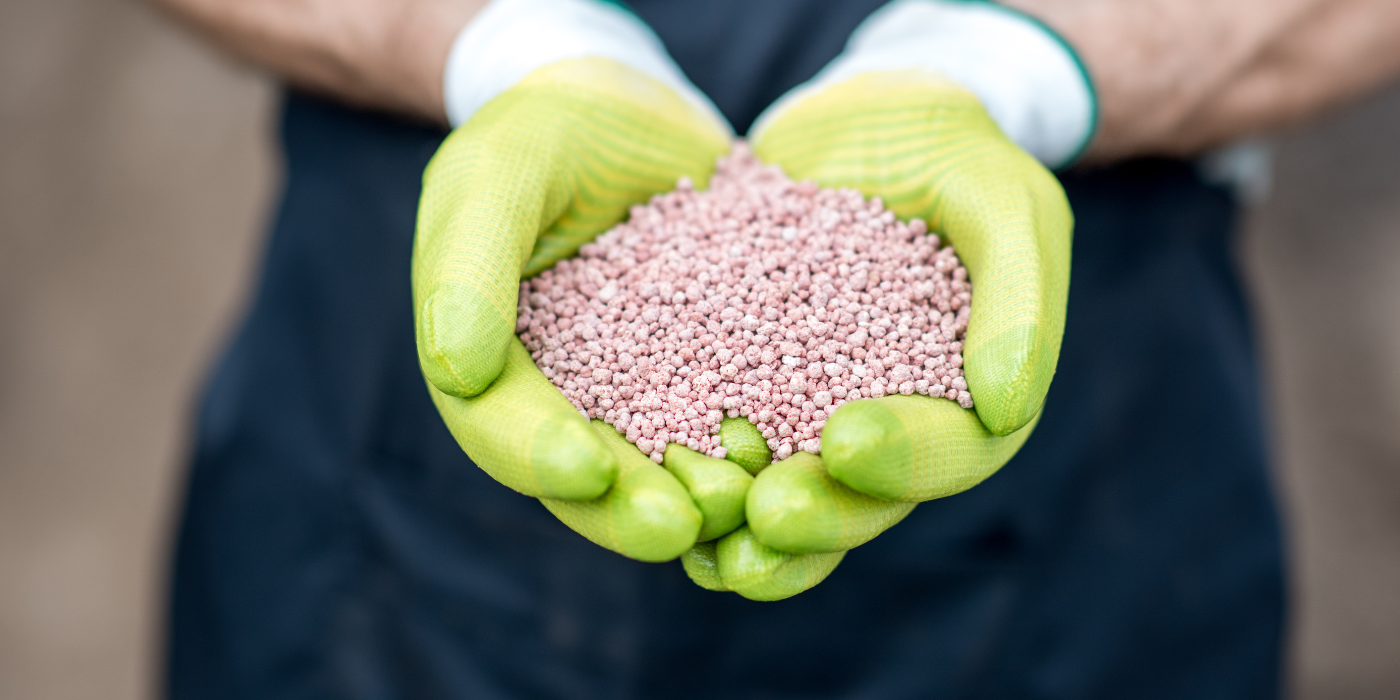 Hands holding granular fertilizer