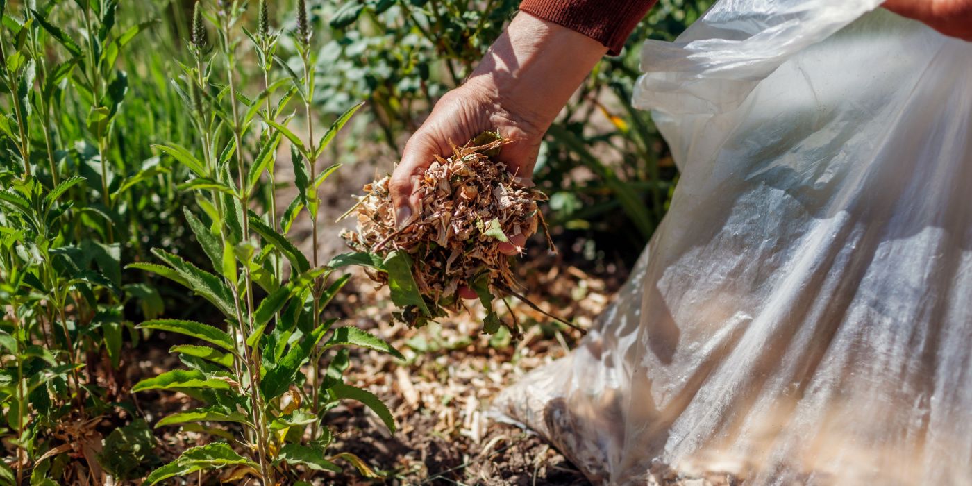 Winterizing 101: Garden Bed Prep Before the Frost Sets In