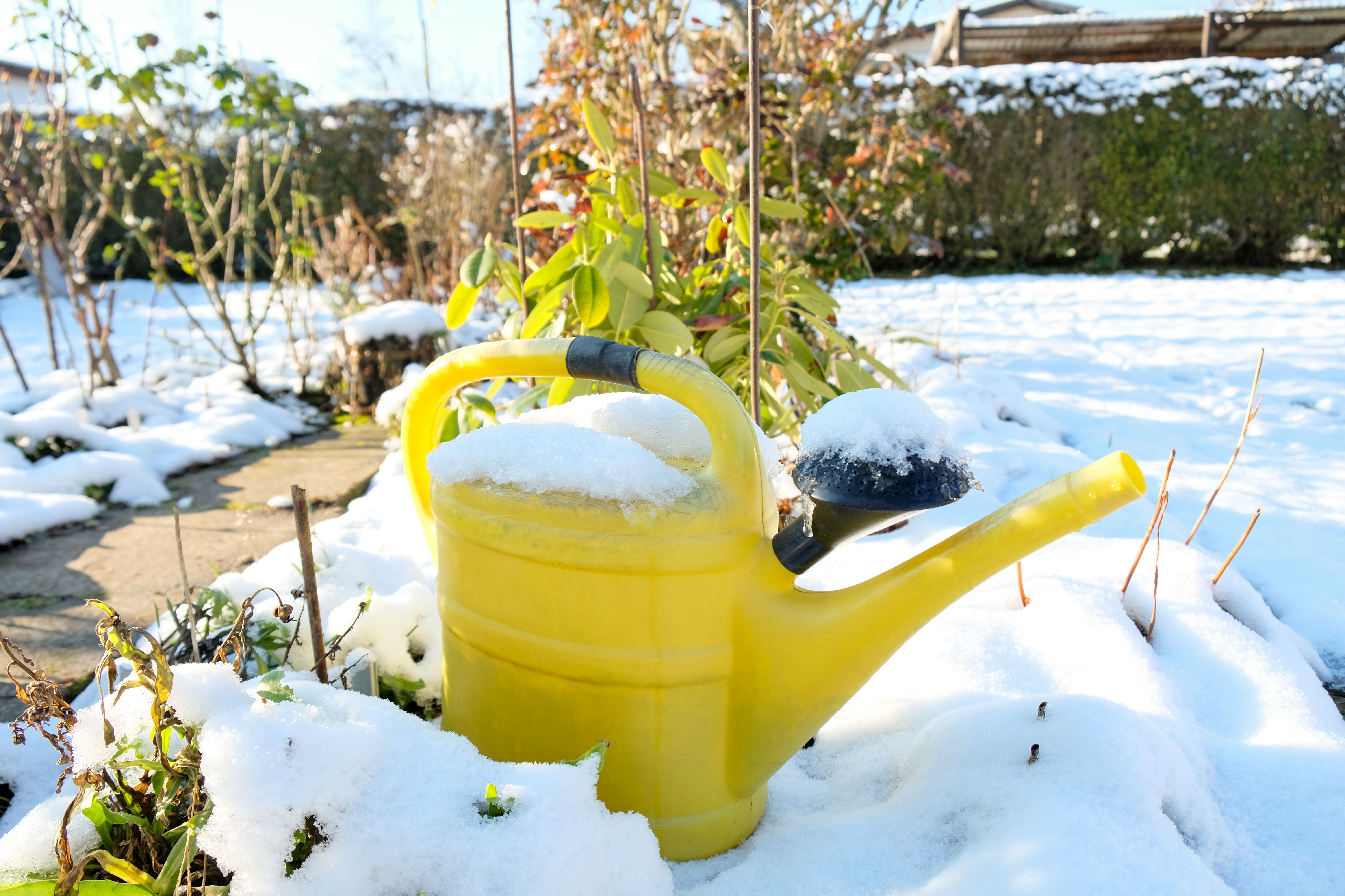 Watering can in the winter 