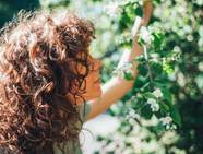 Fill Your Landscape With Fragrant Evergreen Shrubs
