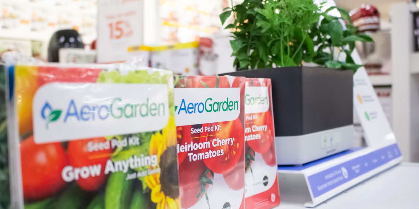 Plant These 4 Plants in Your AeroGarden