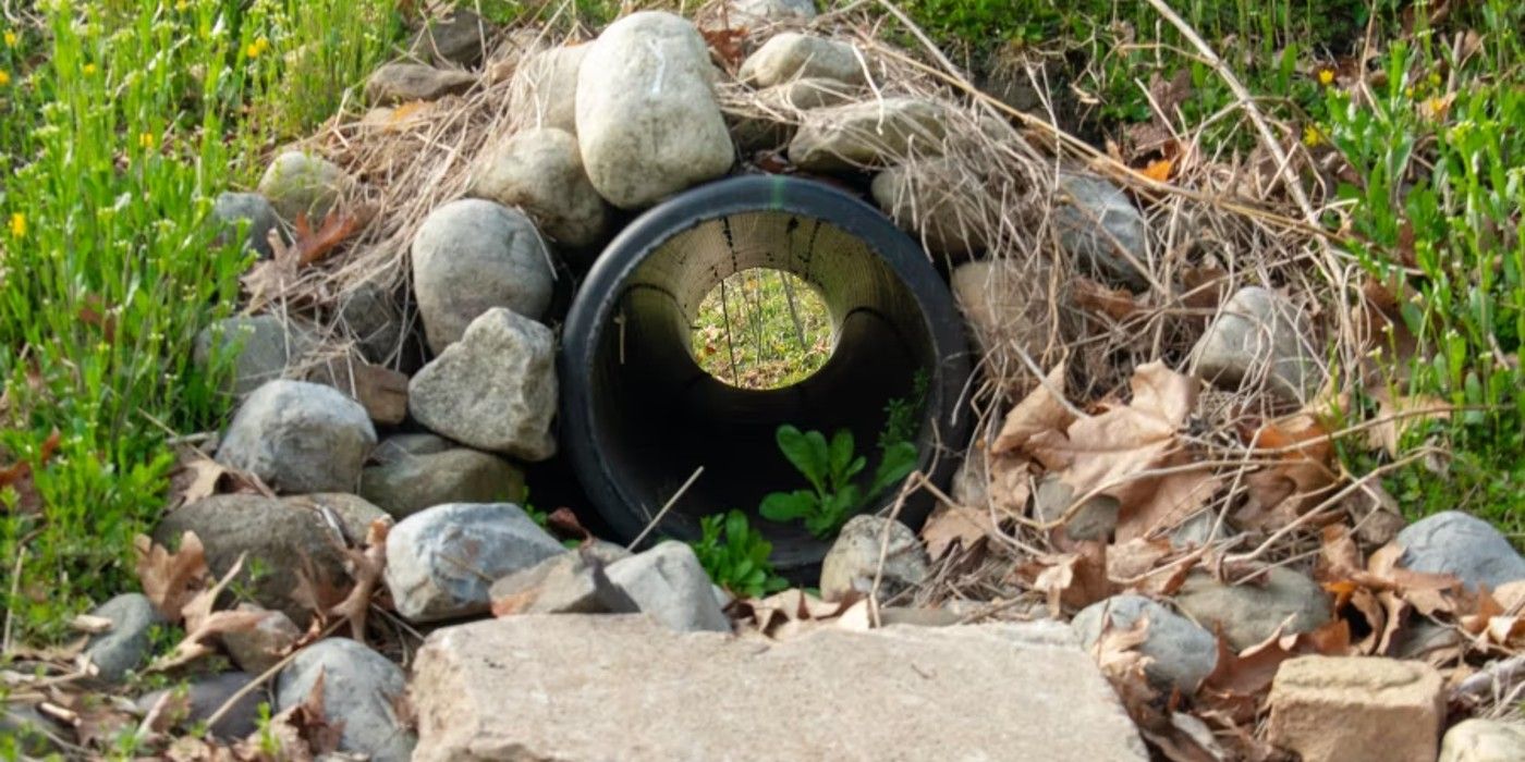 Is a French Drain System the Right Choice for Your Backyard?