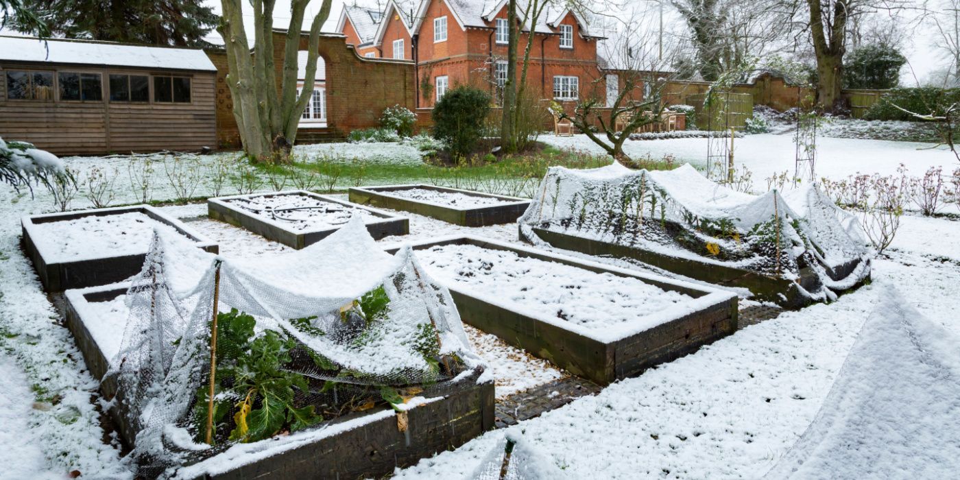 How to Create a Microclimate Garden With Winter Garden Plants