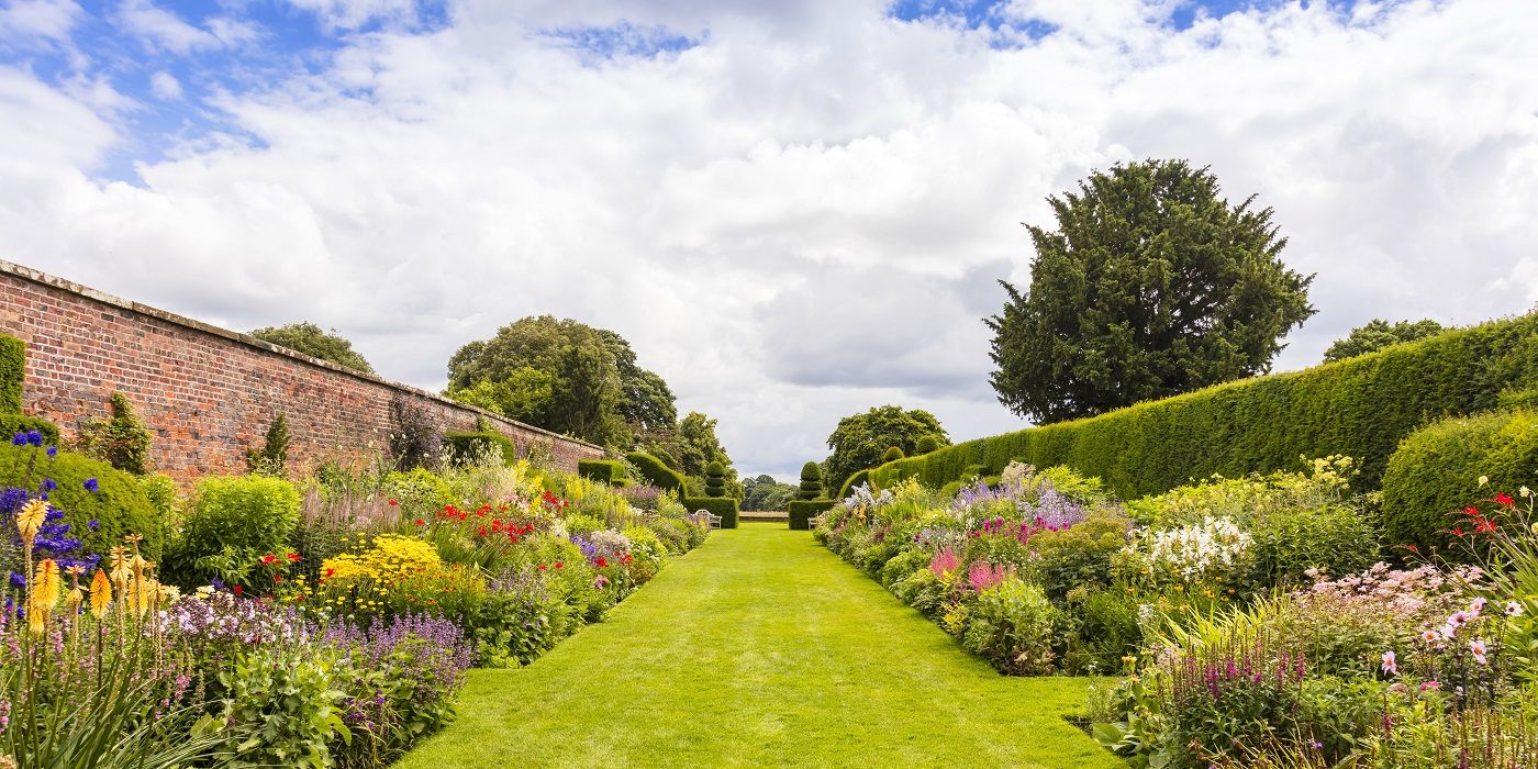 4 Easy Lawn Border Ideas