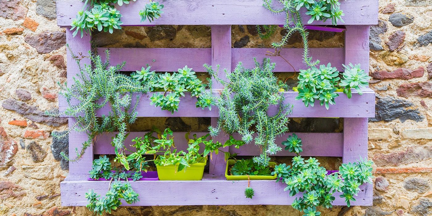 A Complete Guide to Fence Gardens