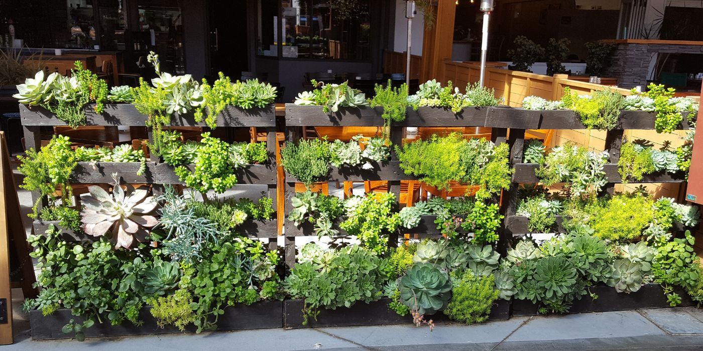 Transforming Old Furniture into Unique Plant Displays