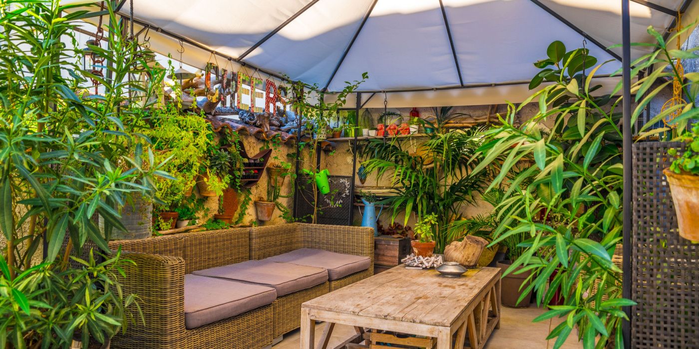 Revitalize Your Yard This Fall 6 Upgrades for Stunning Curb Appeal