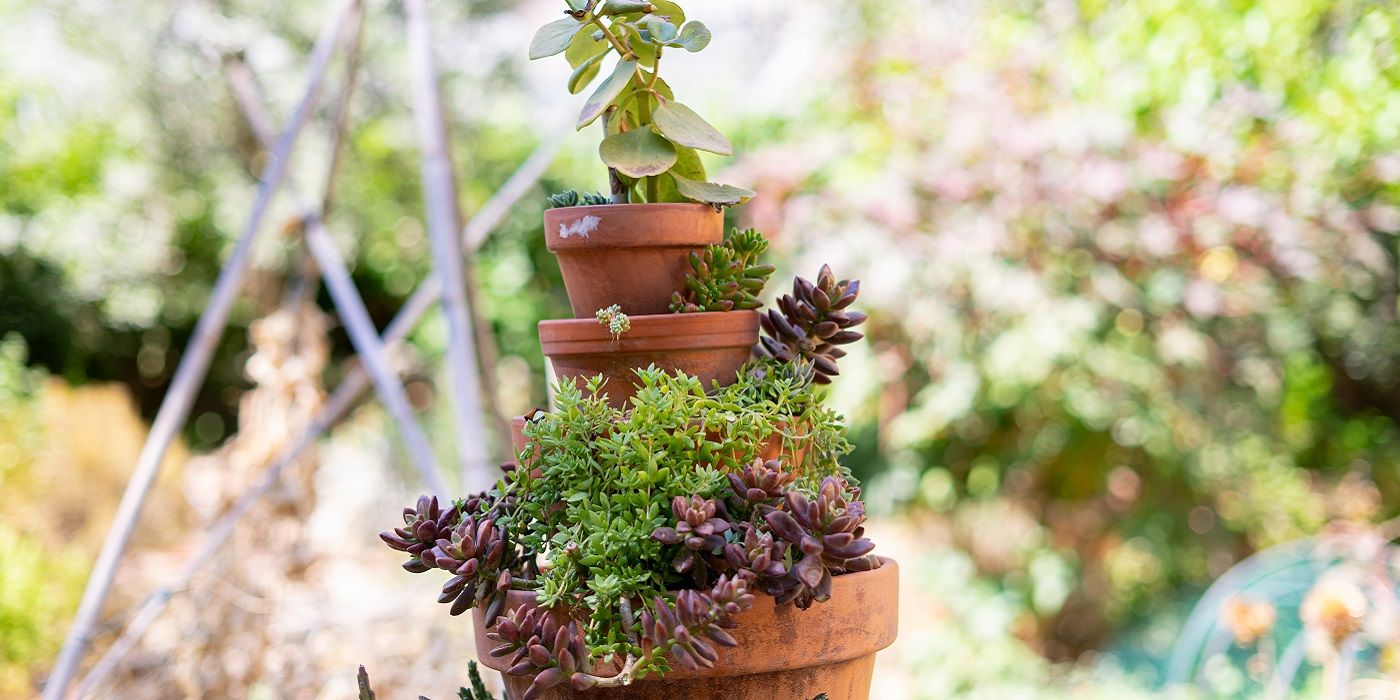 Creative Herb Garden Ideas: Transform Your Yard!