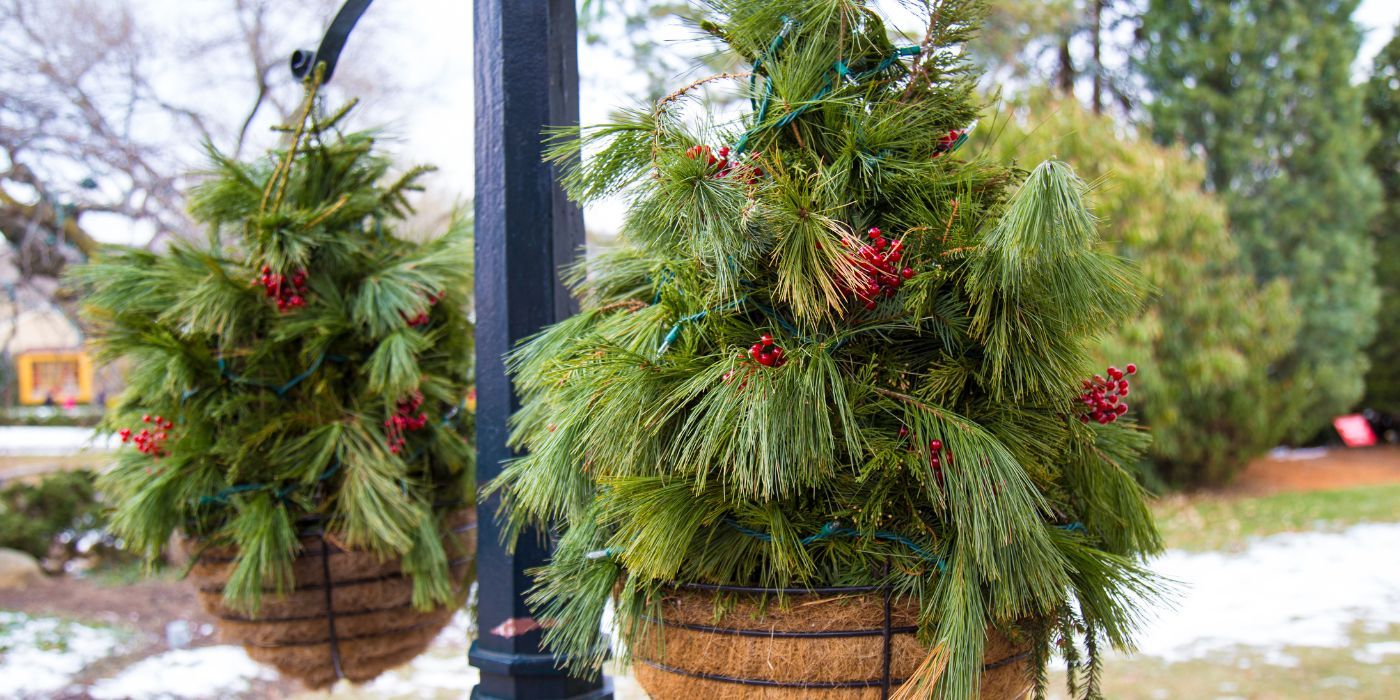 5 Winter Outdoor Decoration Ideas That Are Easy to DIY