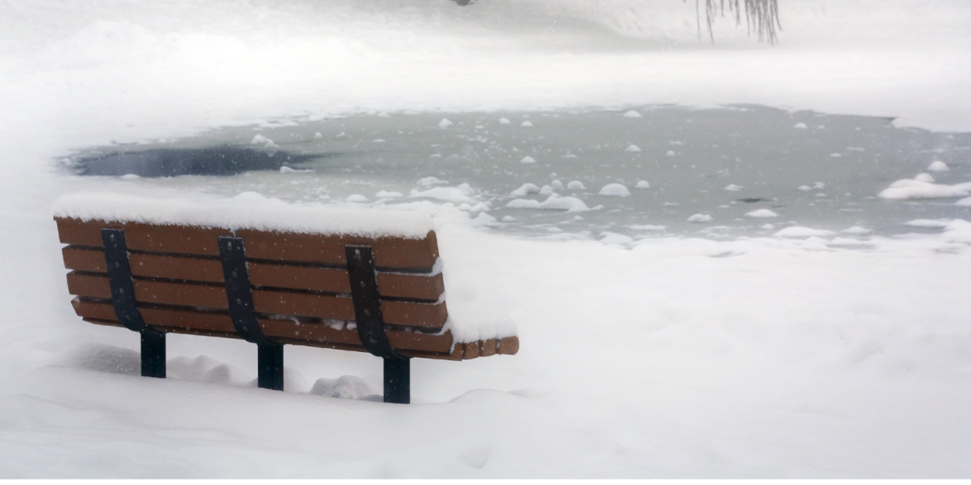 How to Care for Garden Ponds in Winter