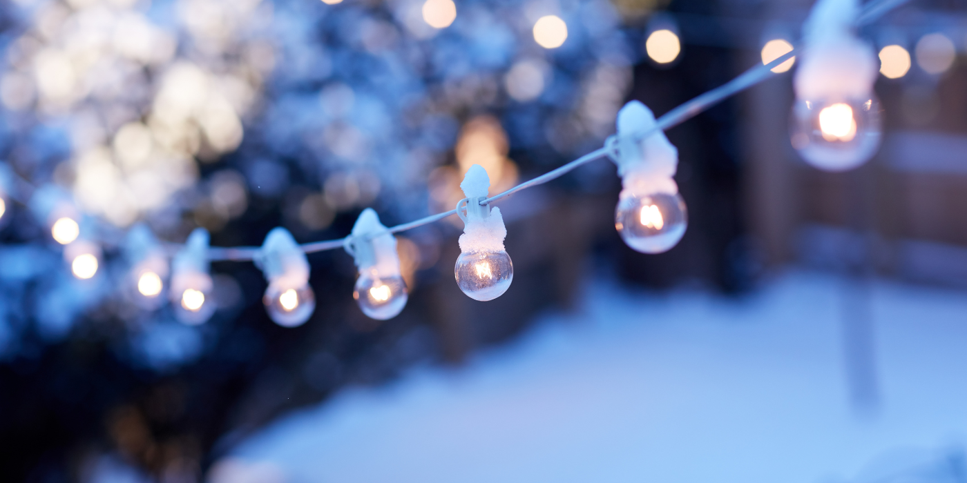 6 Winter Garden Ideas to Elevate Your Outdoor Space
