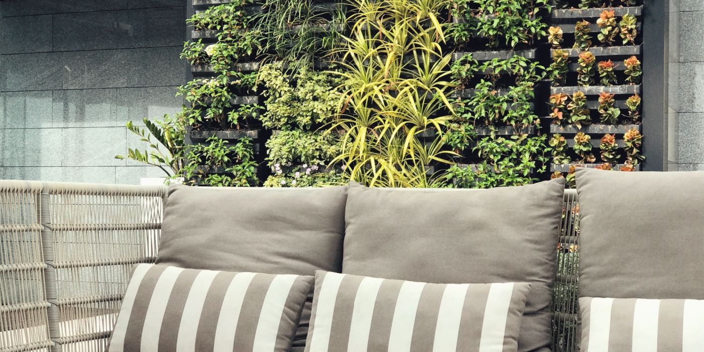 Maximizing Space: The Art of Vertical Gardening