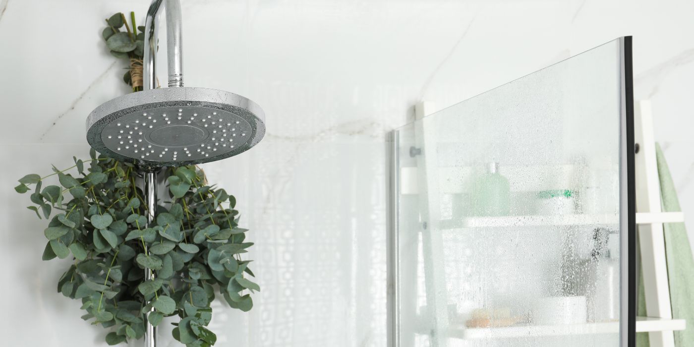 Bathroom Shower Ideas 5 Plants That Create Amazing Decor