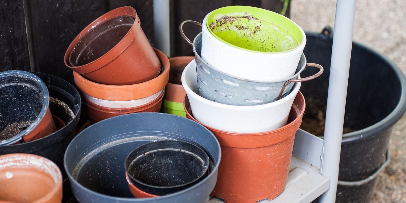 Clean Your Garden Pots the Right Way
