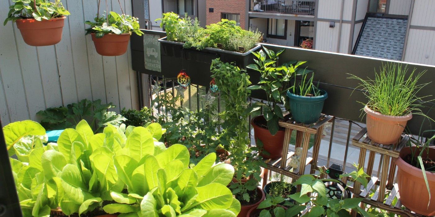 How to Plan a Balcony Garden For Spring