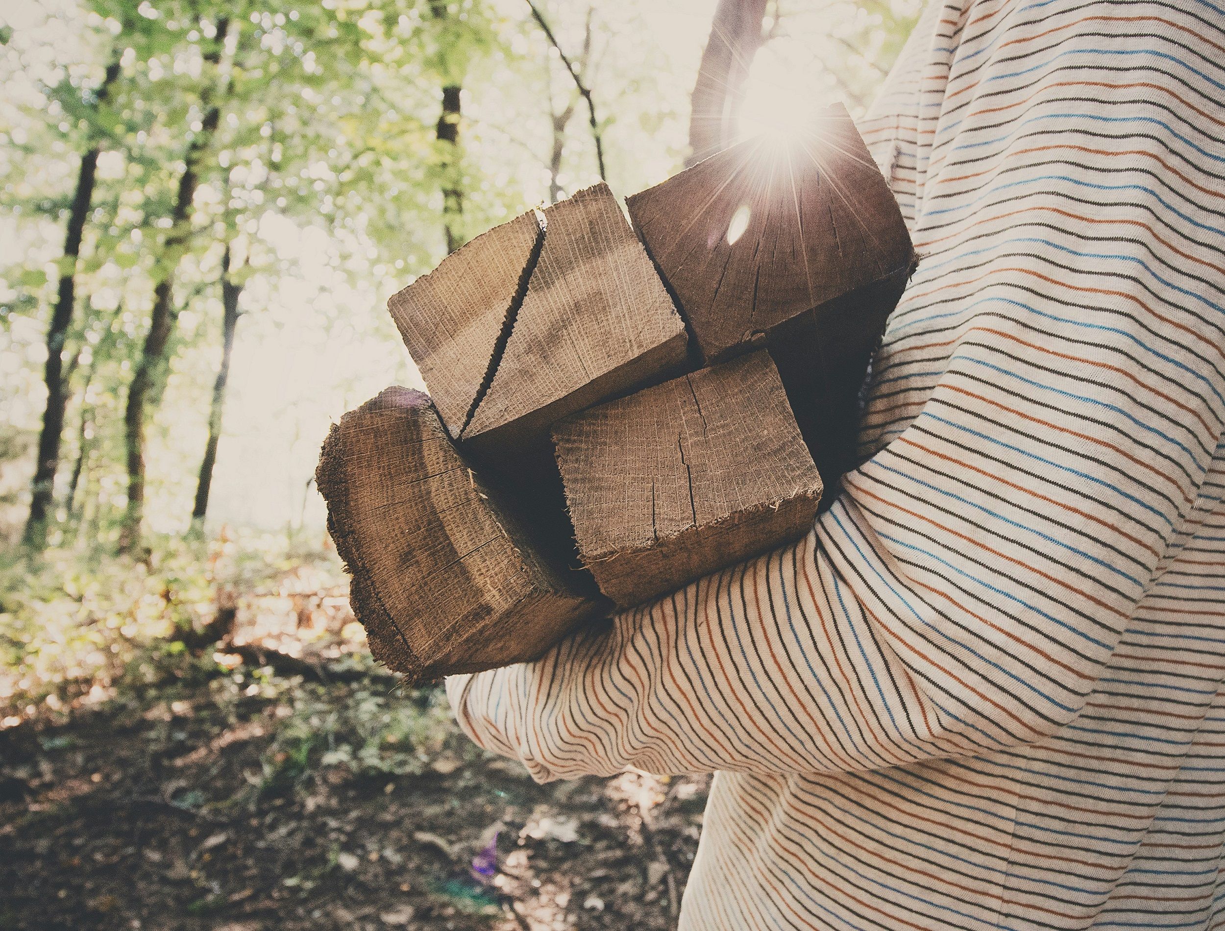 Carrying firewood in a wooded area with sunlight in the background