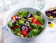 Edible Flowers That Bloom In Winter Edible Flowers That Bloom In Winter