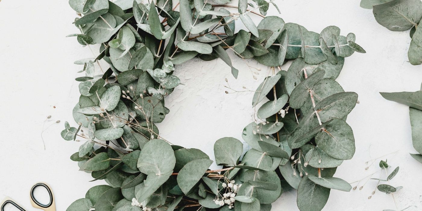 Eucalyptus leaf wreath and scissors on white background