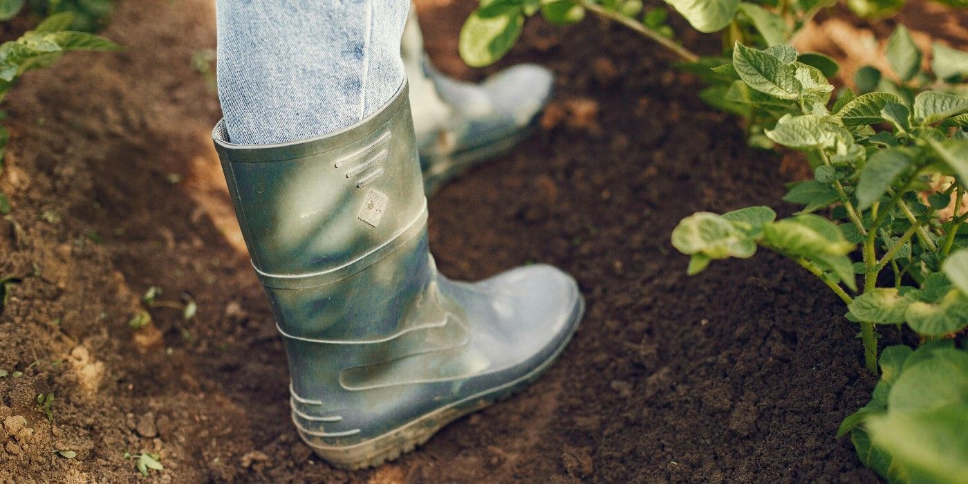 garden boots