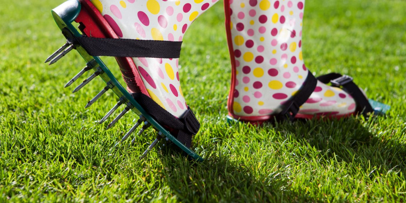 Should You Aerate Your Lawn In Early Spring?