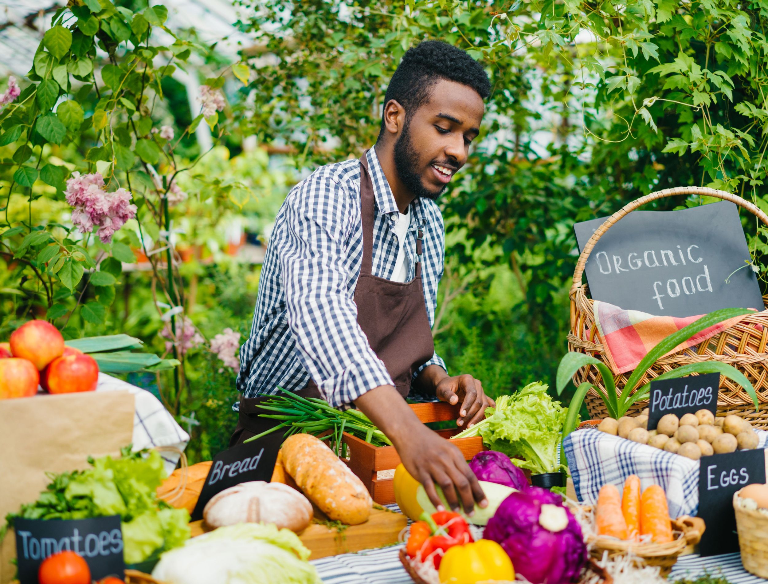 7 Most Financially Rewarding Homegrown Plants