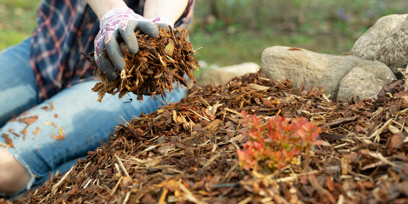 What is Mulch and Why Remove it in March?