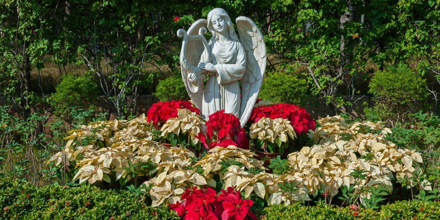 Creative Landscaping Hacks to Hide Unsightly Yard Features