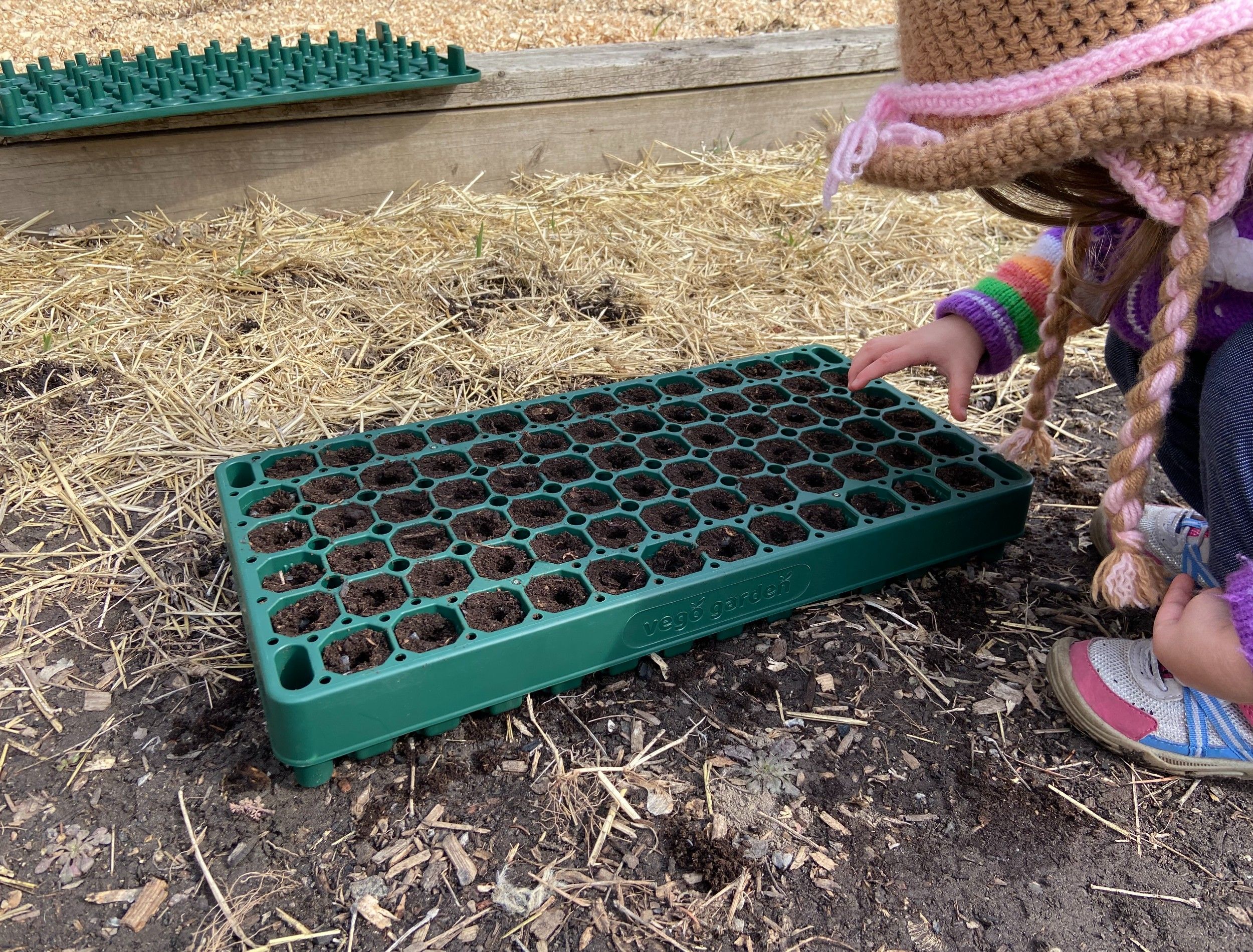 person planting seeds in a vego garden seedling tray