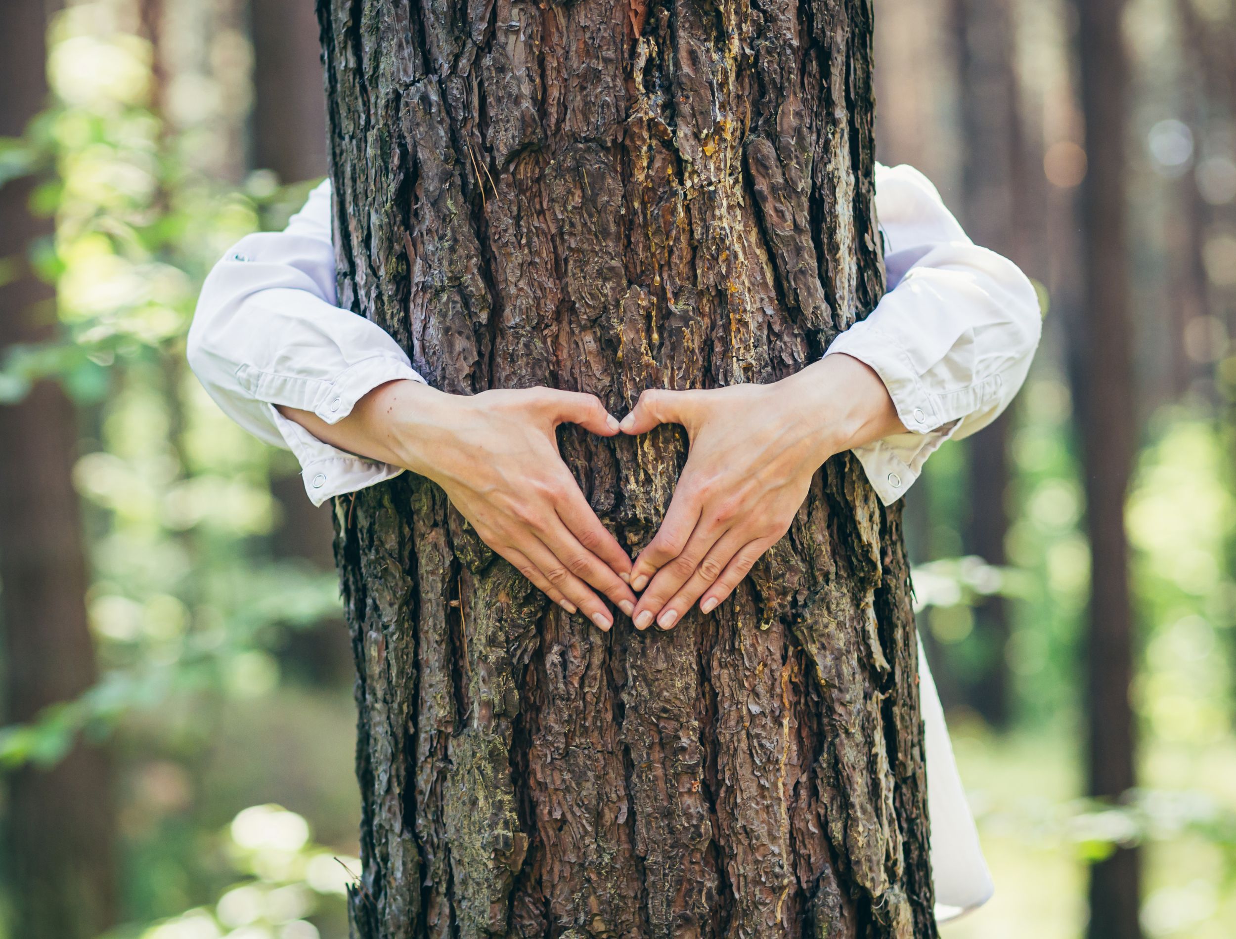 Woman hugging tree with heart shaped hands