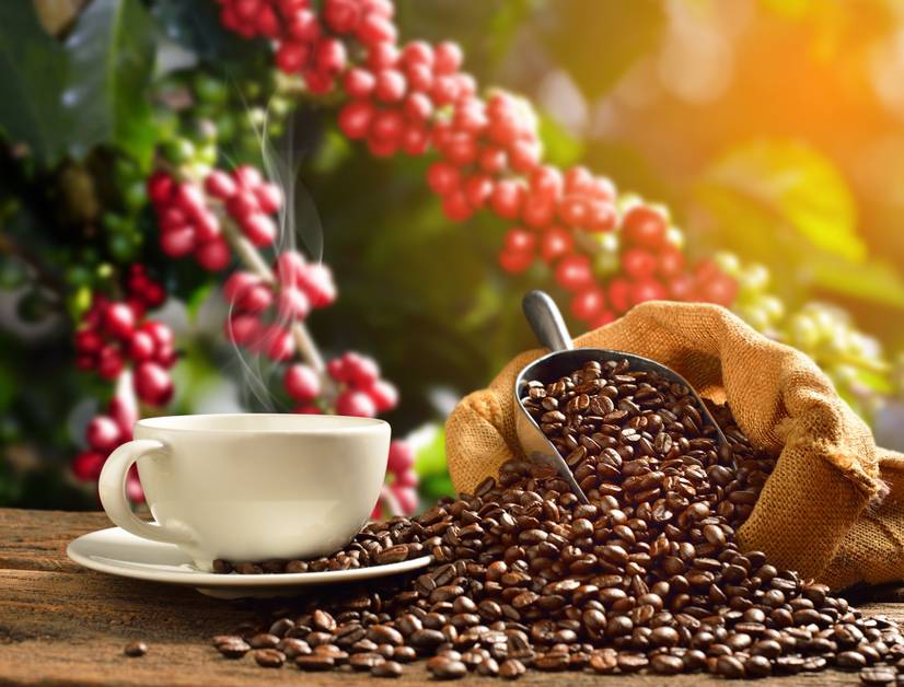 Single Origin Espresso